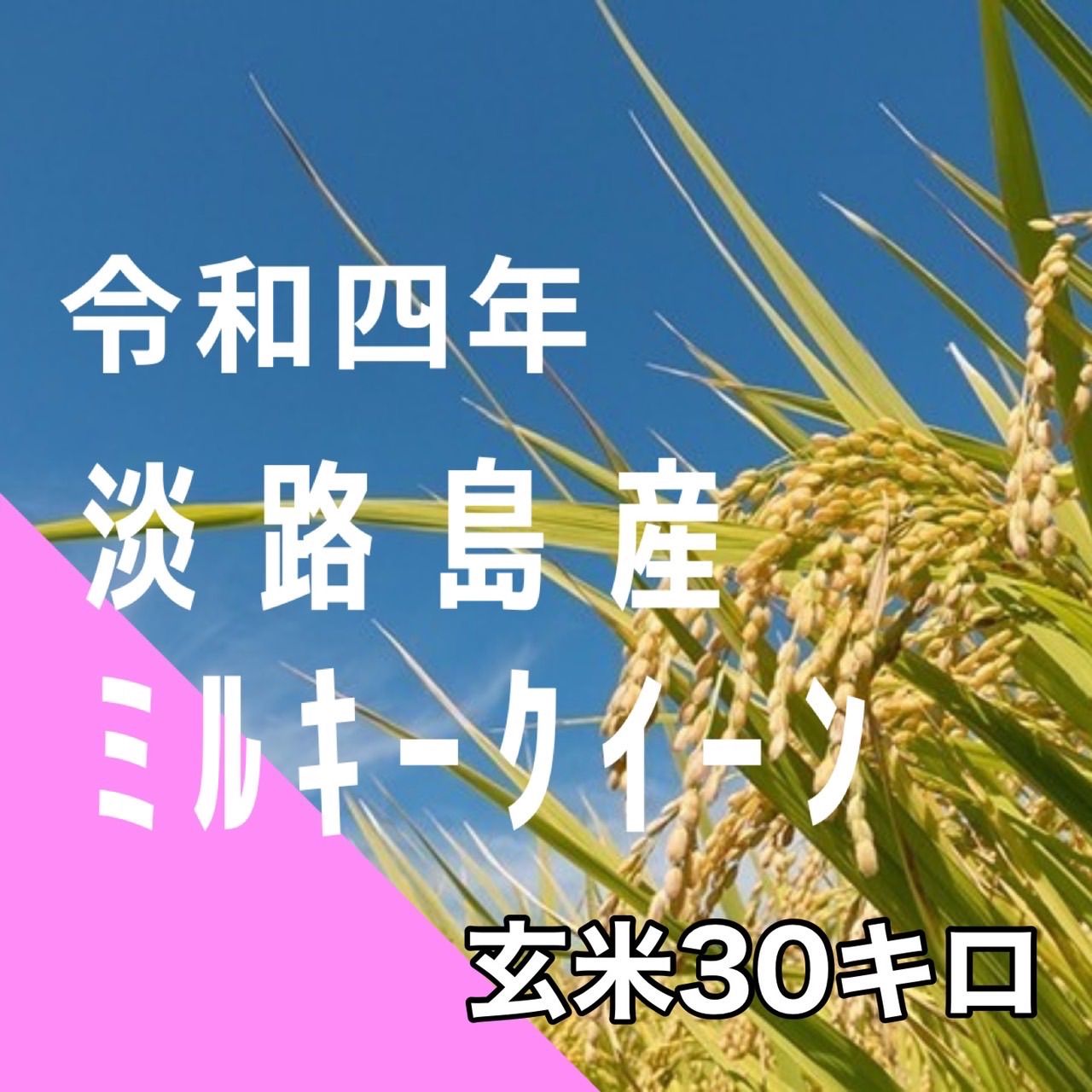 新米 令和4年 産 ミルキークイーン 玄米30キロ 淡路島 小分け可 30kg