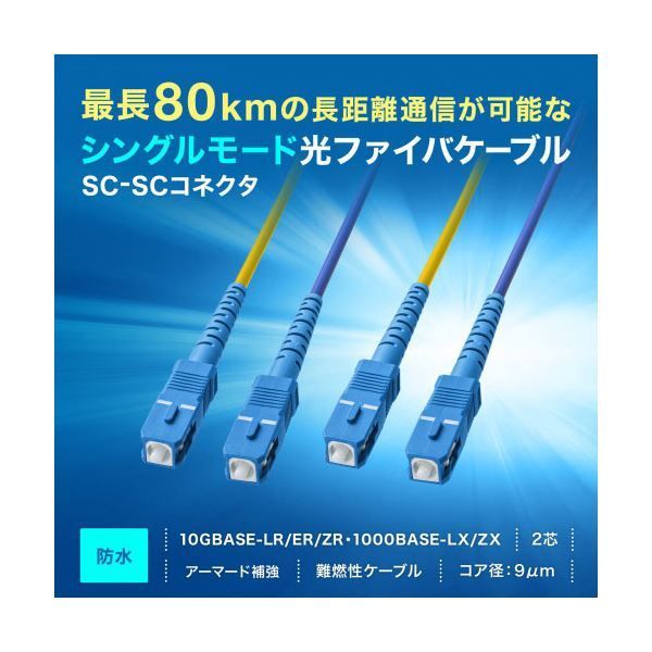 りょうしょうページ ロケット団のミュウツーex sar psa10 最安値