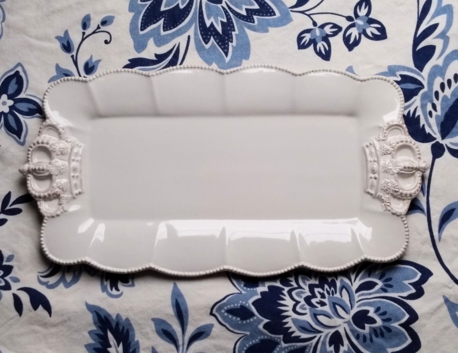 TFH 675,Gold Rush 5号ロングスリット鉢 挿し木苗 結実実績⚪︎ 苗