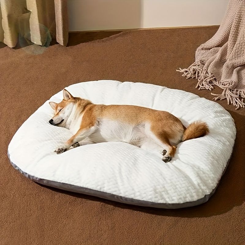 犬用