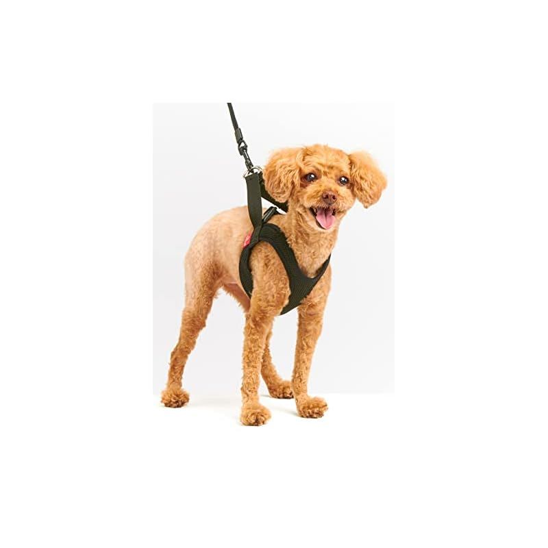 アニフル anifull アニサポ ハーレスト ブラック Mサイズ 犬 M サイズ 0