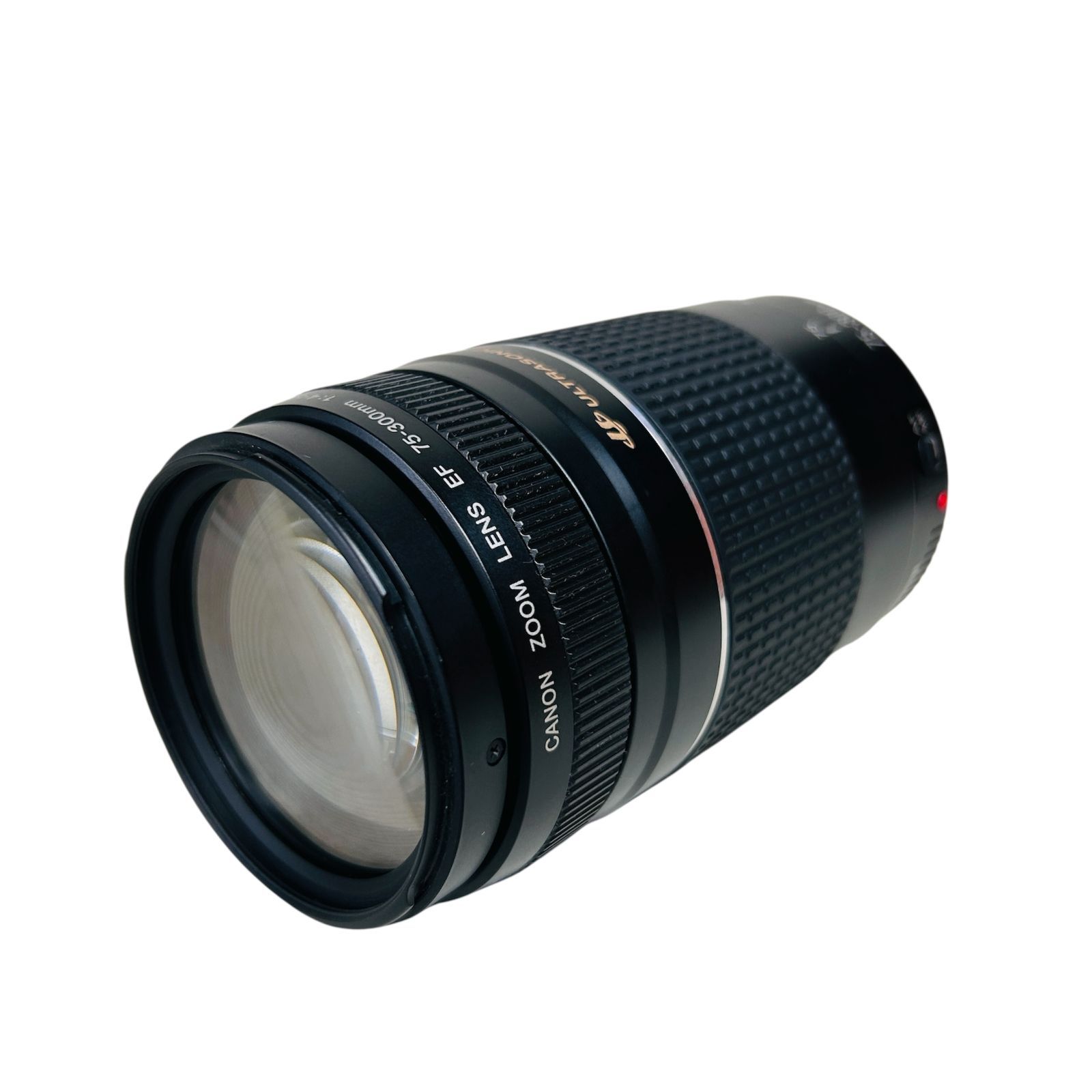 ♢Canon キヤノン 望遠レンズ EF75-300mm 想い出の1枚! ♢Canon キヤノン 望遠レンズ EF75-300mm 想い出の1枚!