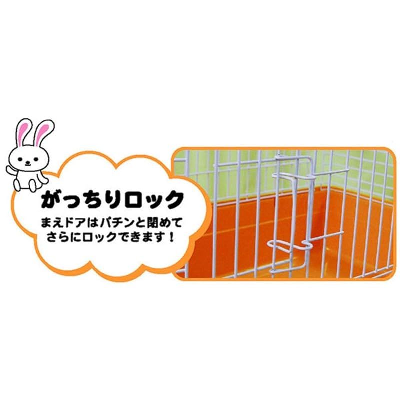 ミニアニマン