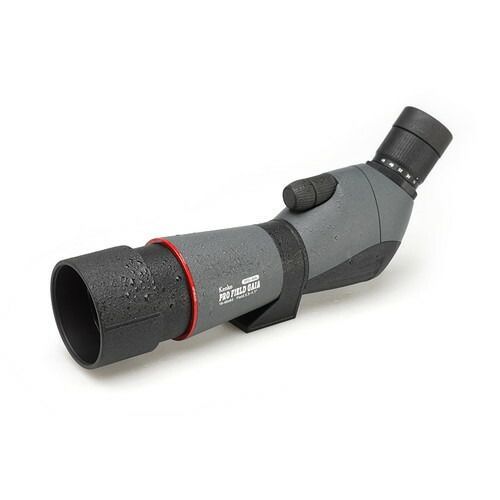 GAIA プロフィールドガイア