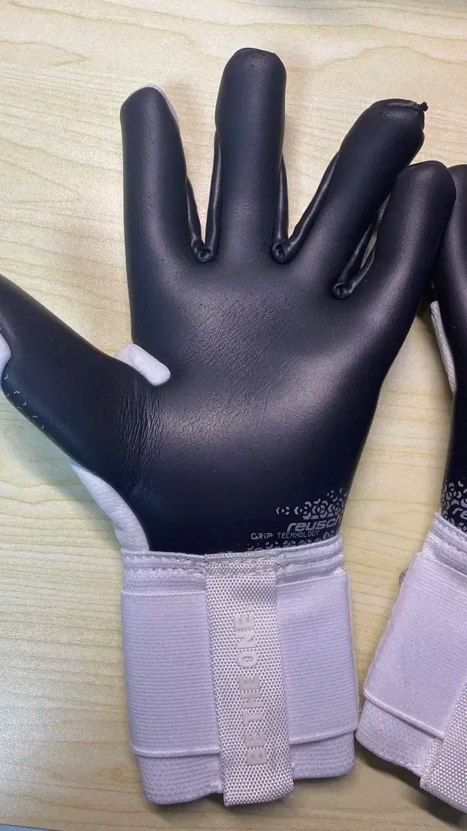 ロイッシュ フリー