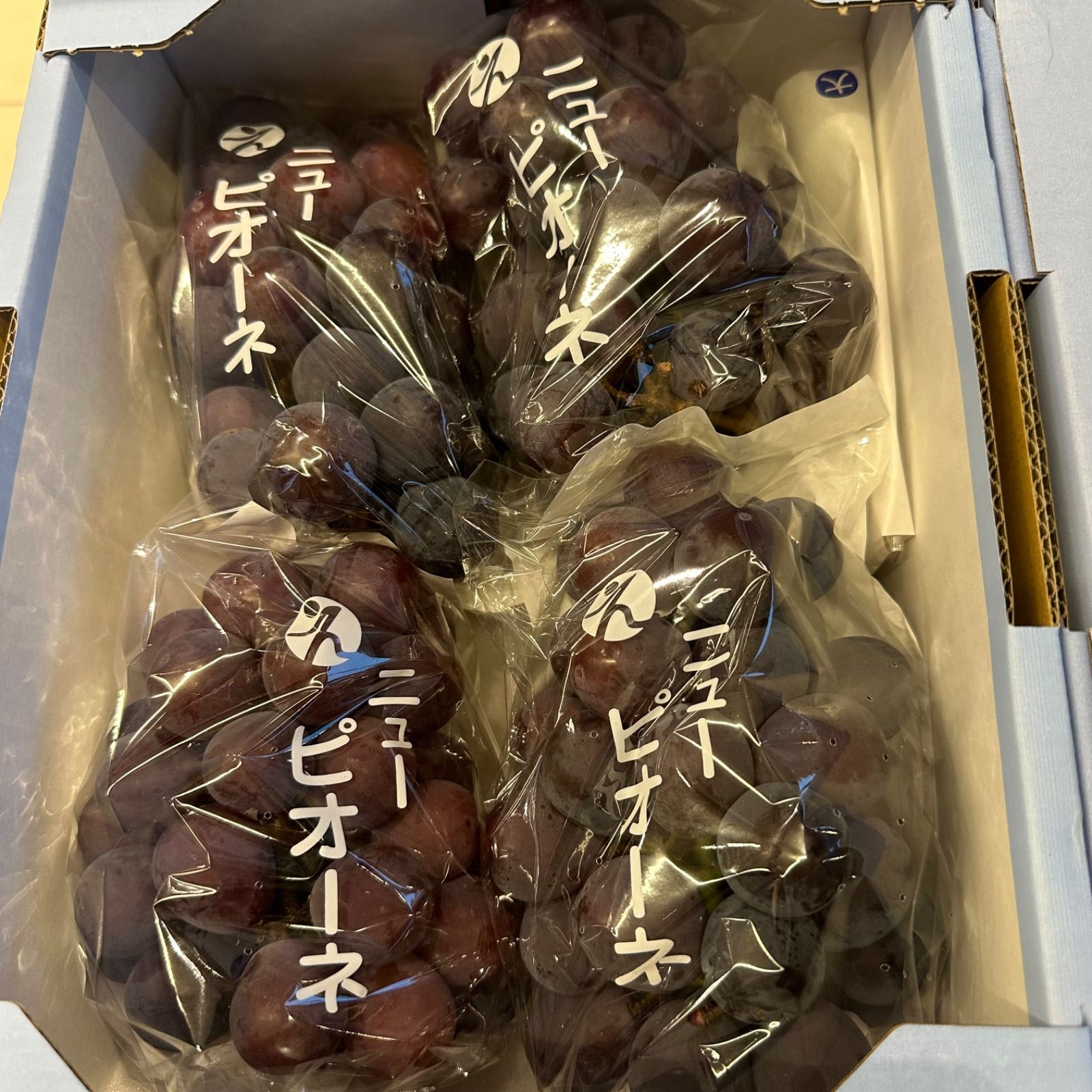 2キロ❌4箱伊台産ピオーネ爆買‼️ 節約 ふるさと納税 松山市