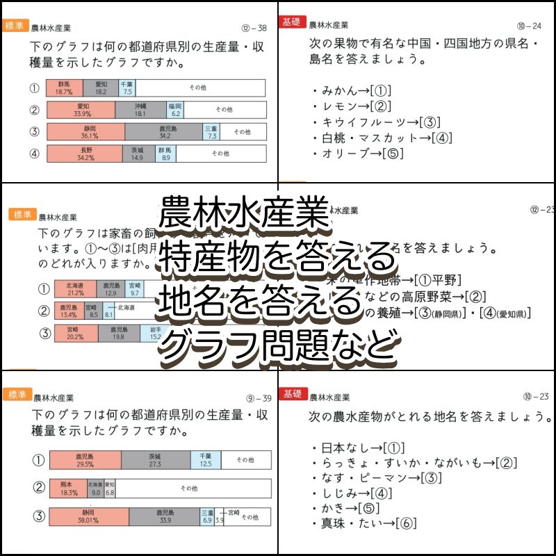 極める中学受験 社会(地理/地域別)暗記カード サピックス 予習