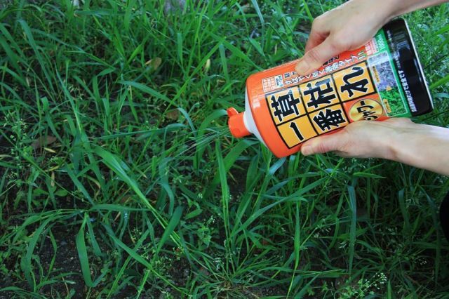 草枯れ一番シャワー 1000mlｘ12本