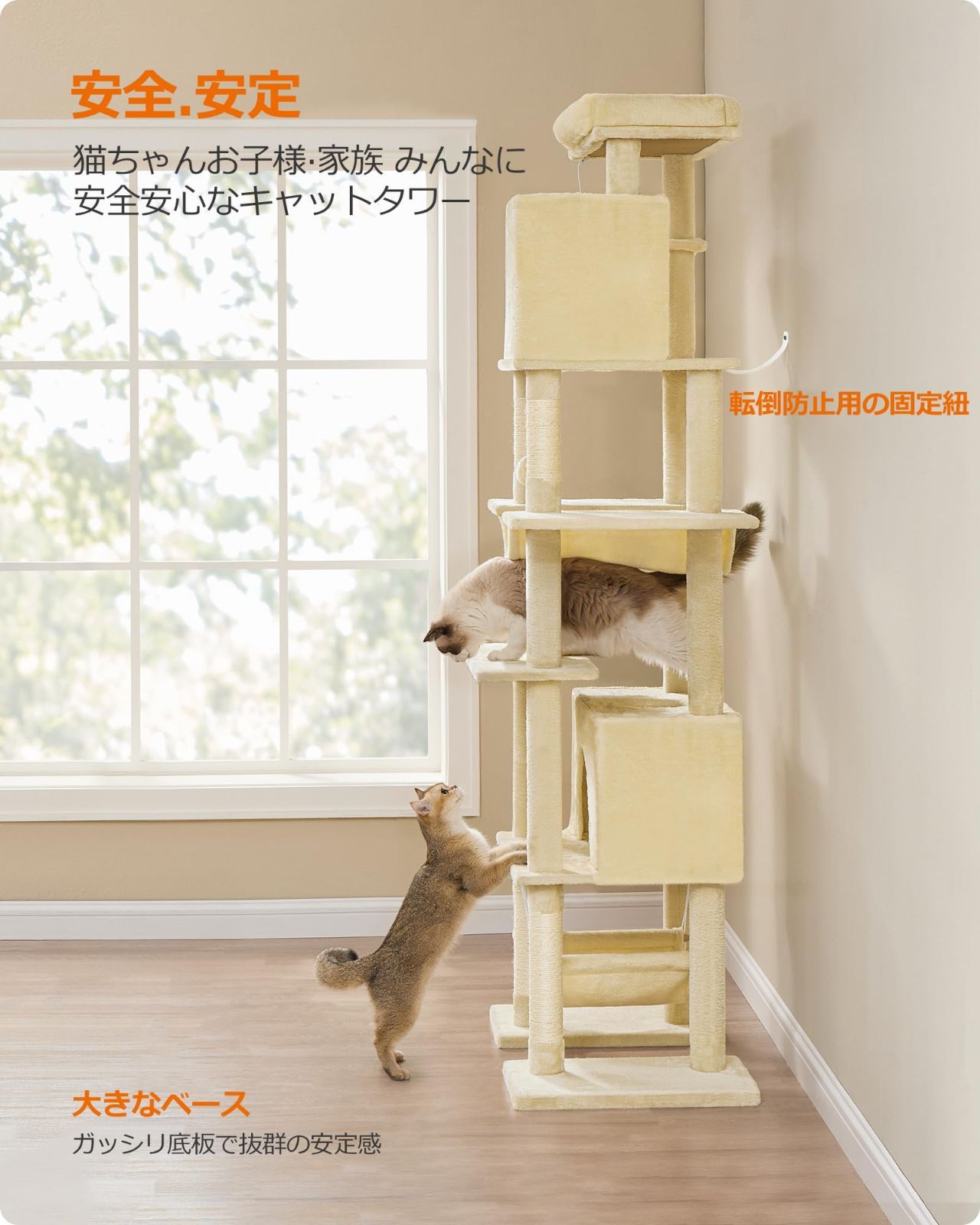 大型猫用 多頭飼い