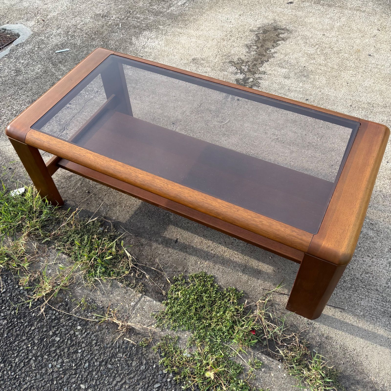 東京チャーム 株式会社 三矢 16頭セット 三矢 東京チャーム 国家試験用