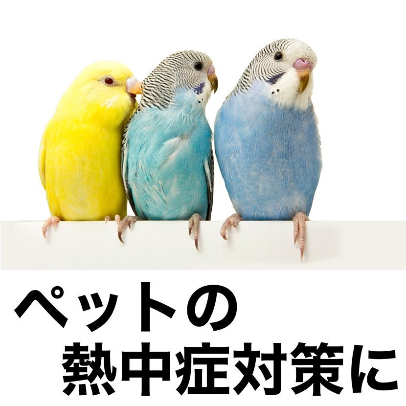 氷点下冷却剤 ソフトタイプ