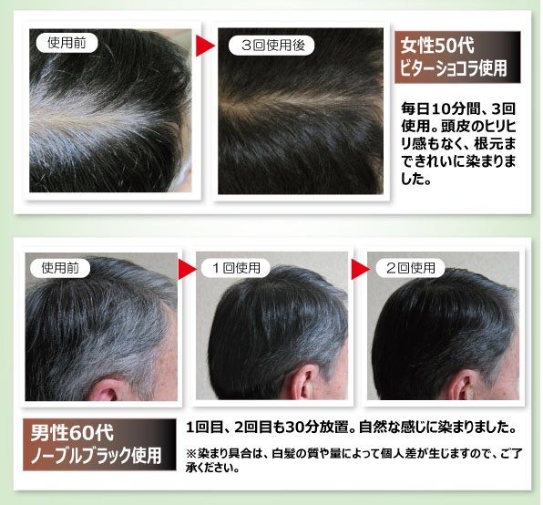 髪傷まない白髪染め ヘアカラートリートメント「美女魔女」 プレミアム 