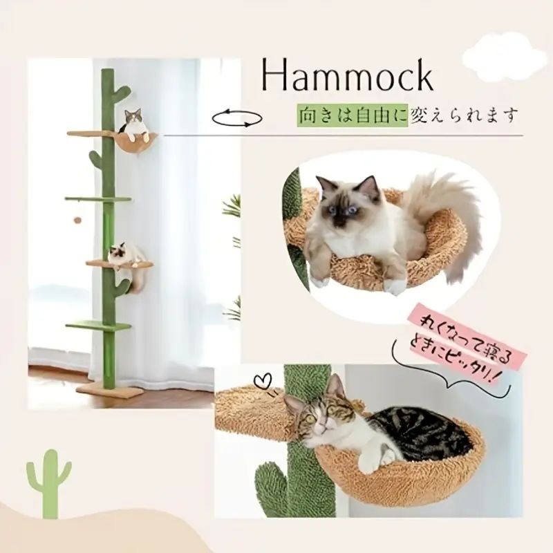で 多頭飼いに最適です