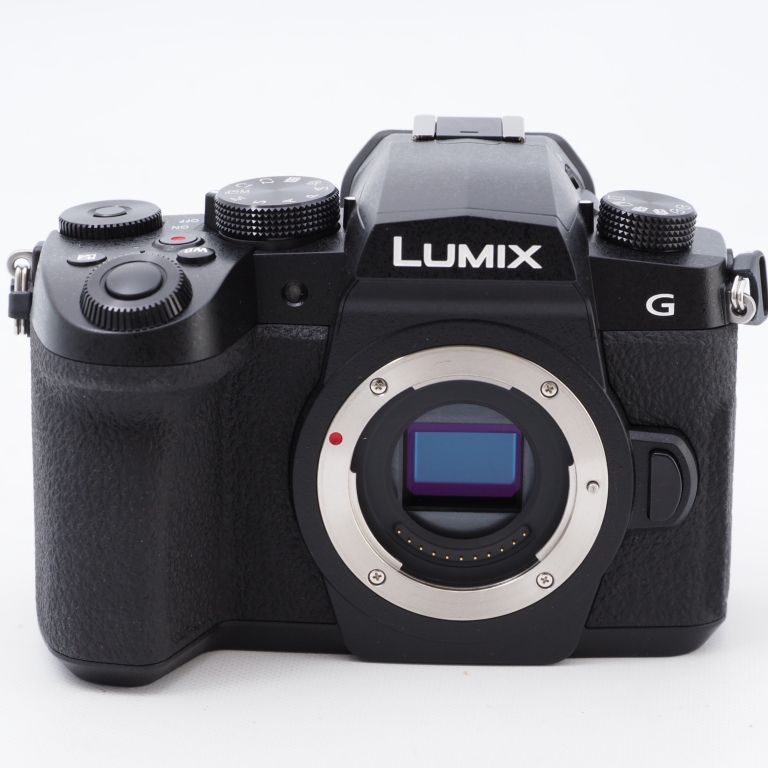 Panasonic パナソニック ルミックス LUMIX G99 ボディ 2030万画素