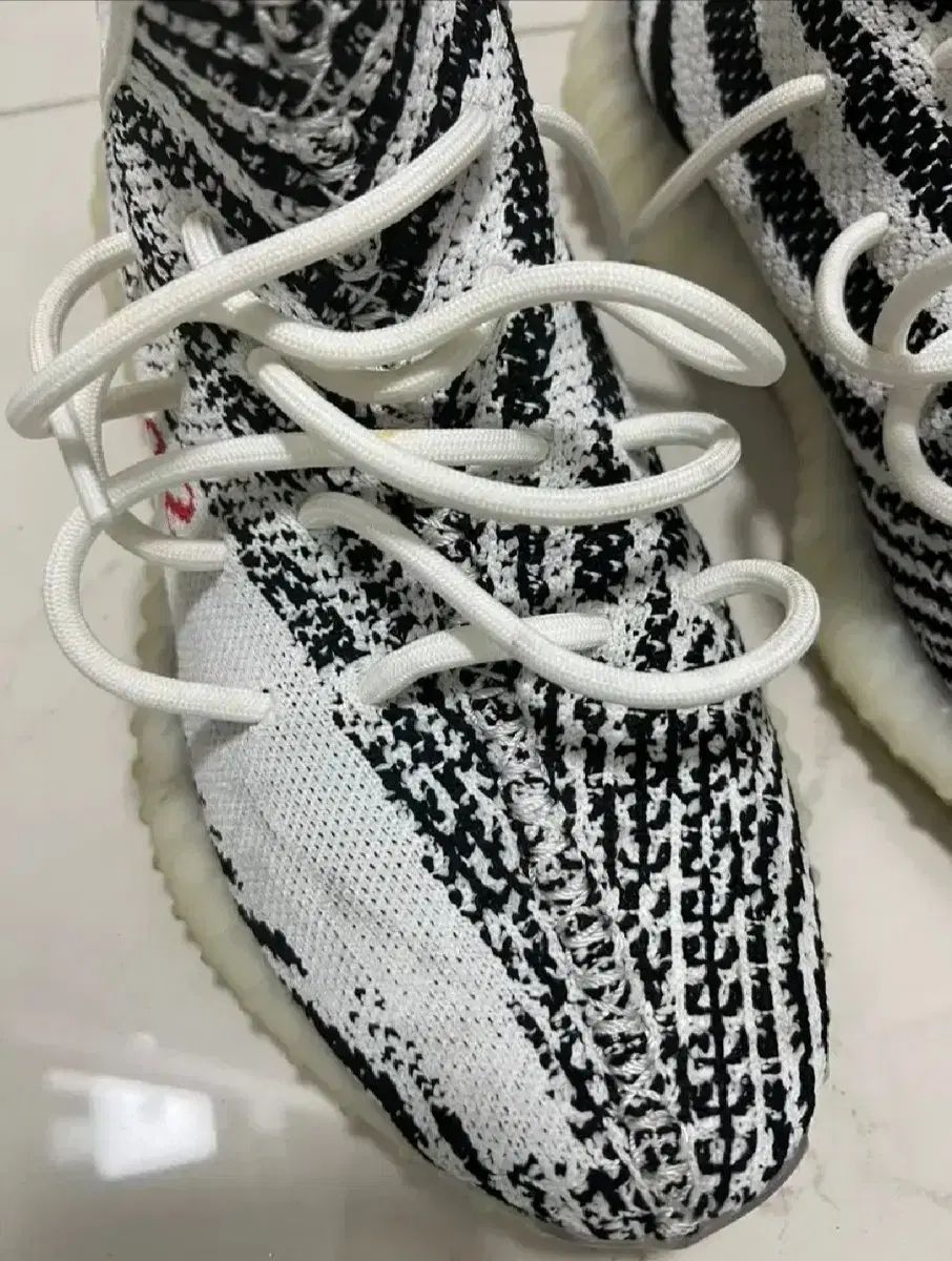 350v2 ゼブラ