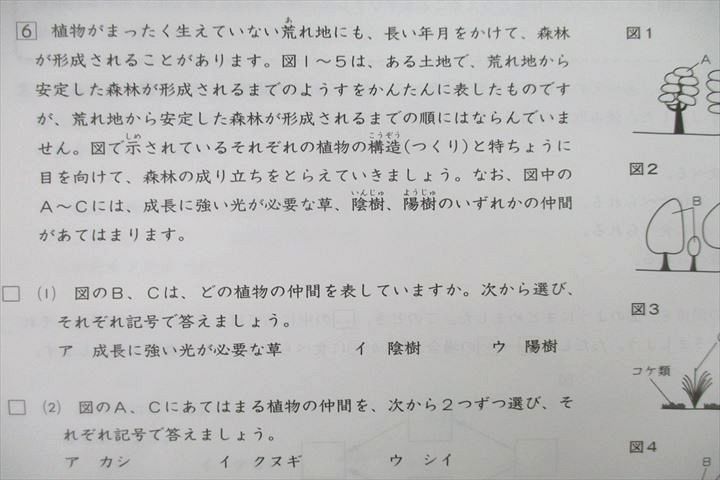 ブックスドリーム出品一覧駿台VB25-119 日能研 5年 全国公開模試 実力判定/夏期講習特別/学習力育成テスト等 国語/算数/理科/社会テスト16回分セット2021 79R2D