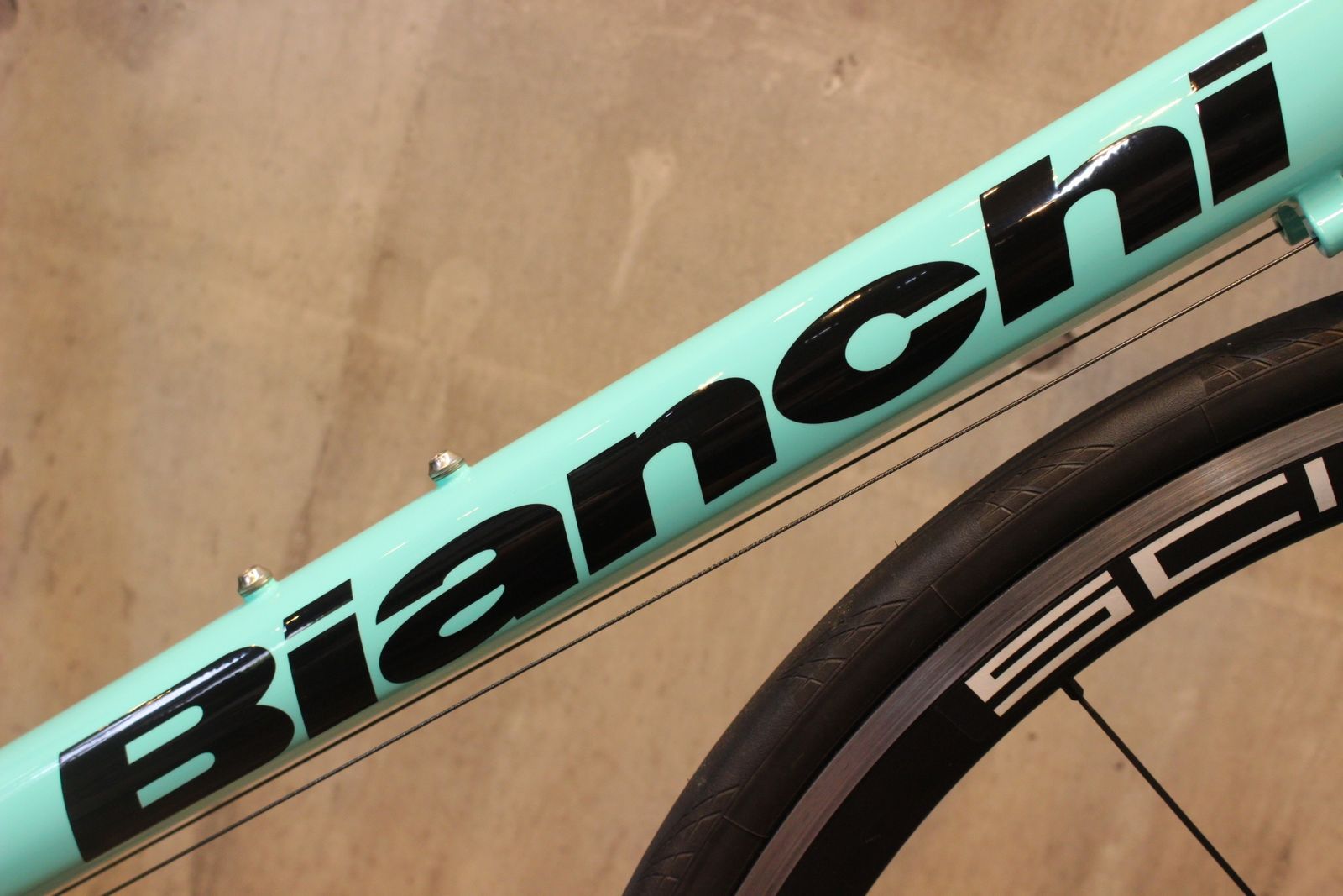 2019年モデル 57サイズ