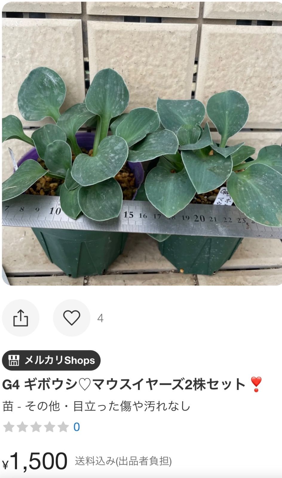 mii様 専用おまとめ分 mii様 専用おまとめ分 みい様おまとめ専用ページ♪