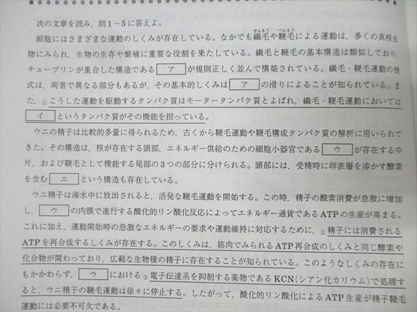 駿台 東京大学 東大生物テスト演習 テキスト通年セット 状態良 2024 計2冊 017S0D 駿台 東京大学 東大生物テスト演習 テキスト通年セット 状態良
