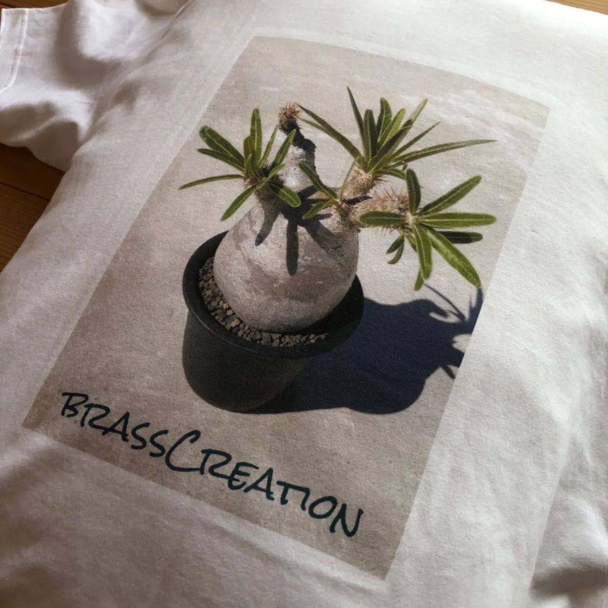 gracilius t-shirt front グラキリス オリジナル Tシャツ