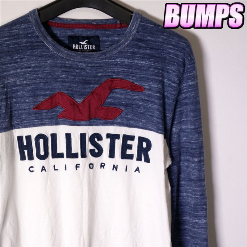 HOLLISTER ロンテイー - Tシャツ