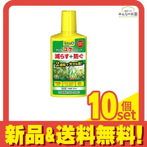 Tetra(テトラ) コケブロック 250mL 10個セット まとめ売り