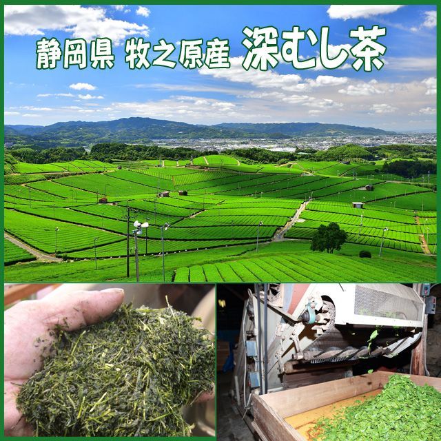 静岡茶 深むし茶360g×10個 送料無料 かのう茶店 お茶煎茶お買い得産直格安 静岡茶 深むし茶360g×6個 送料無料 かのう茶店 お茶煎茶