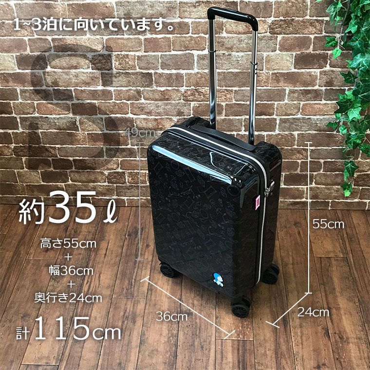 機内持ち込み可