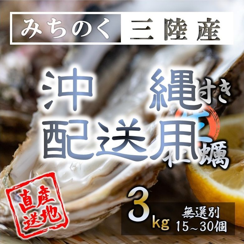 沖縄配送用 生食OK 3kg 三陸産 殻付き生牡蠣 新鮮 宮城 石巻 鉄分 亜鉛 ミネラル豊富 希少 カキ バーベキュー 貝 魚介類 かき 贈答 パーティ 刺身 焼く 蒸す 揚げ 漬け フライ 等様々なお料理にも