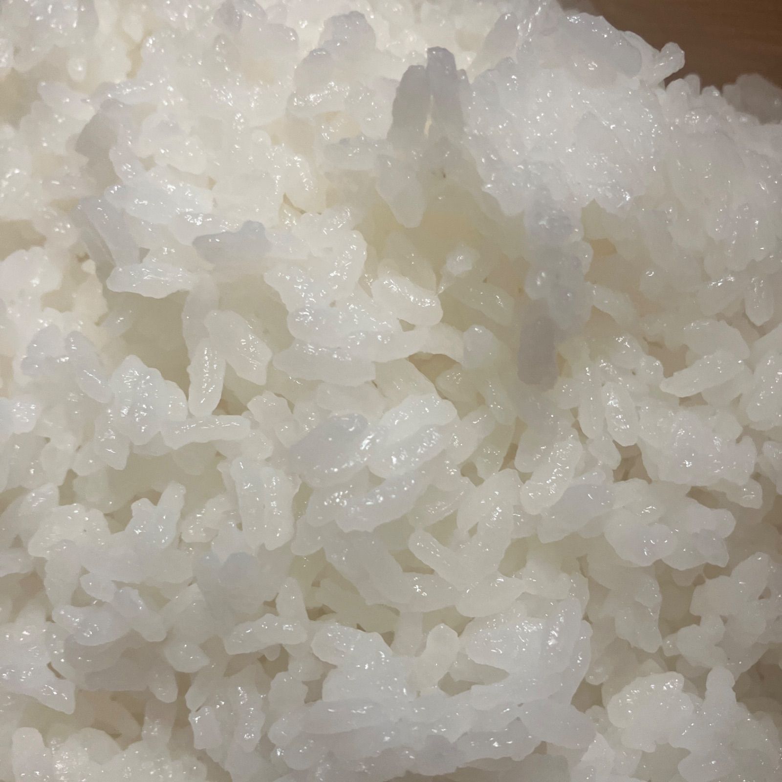 古米【丹波篠山コシヒカリ】少量お試し/玄米/2kg 令和4年産〈単一原料