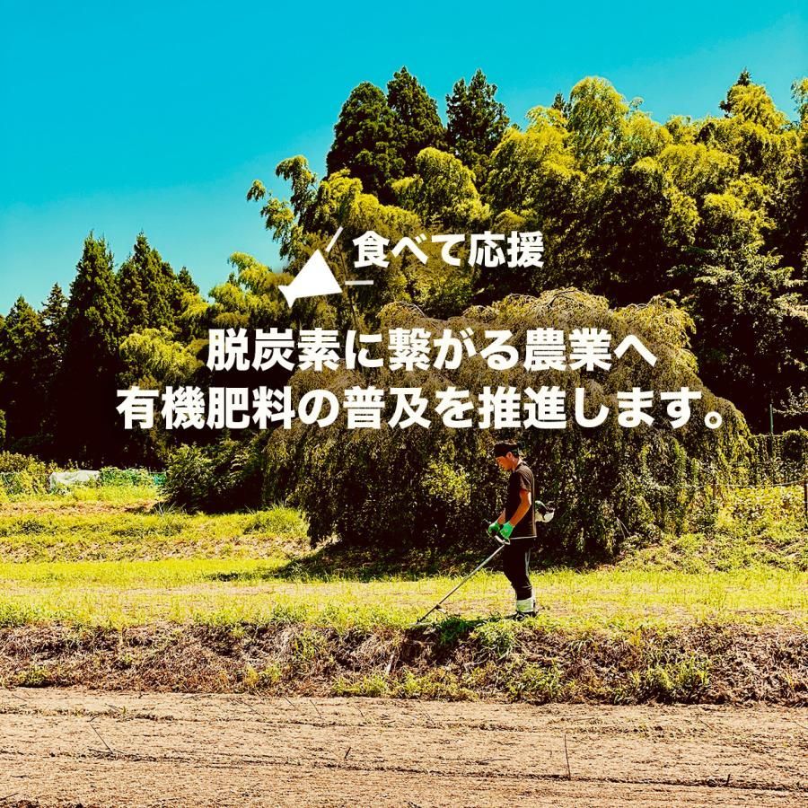 お試しサイズ 令和4年産 新潟県産コシヒカリ 白米 150g 1合  ミシュラン-6