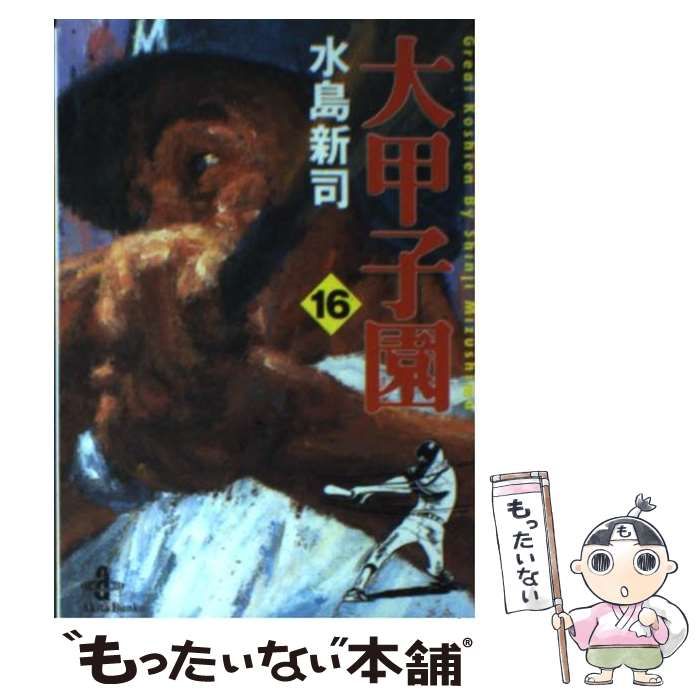 中古】 大甲子園 16 （秋田文庫） / 水島 新司 / 秋田書店