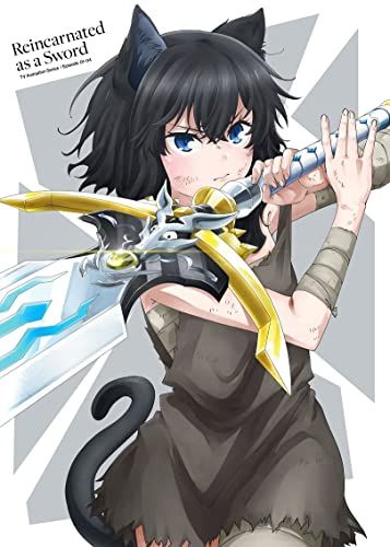 転生したら剣でした Blu-ray Vol.1 Blu-Ray 石平信司