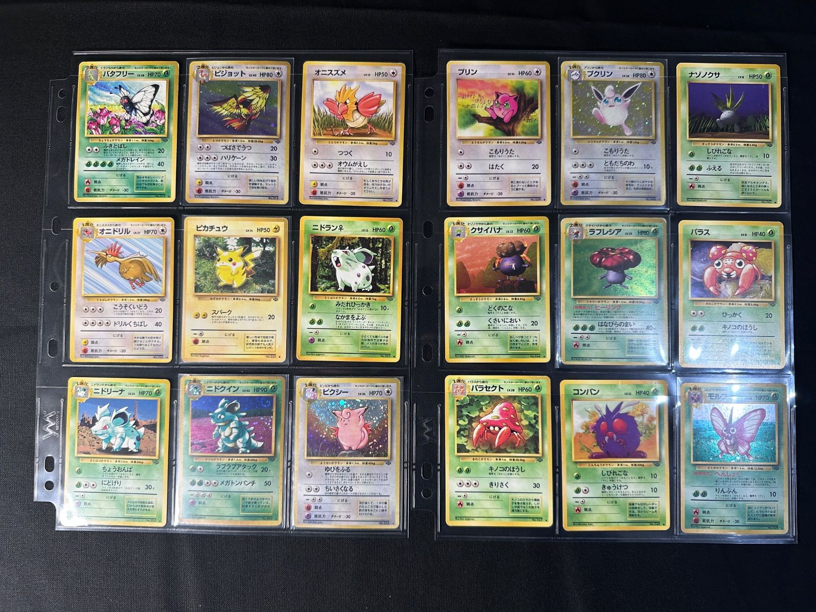 旧裏 第2弾 拡張パック「ポケモンジャングル」 全48枚 コンプリート