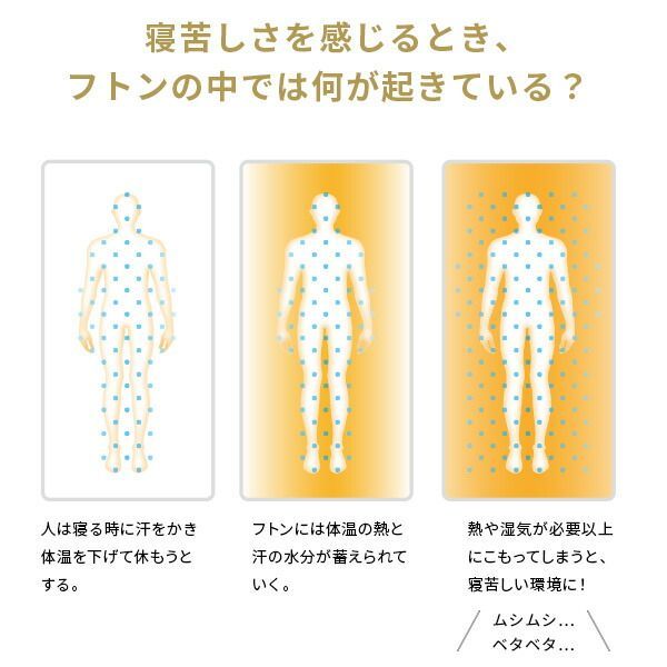 カラリプレミアム セミダブル