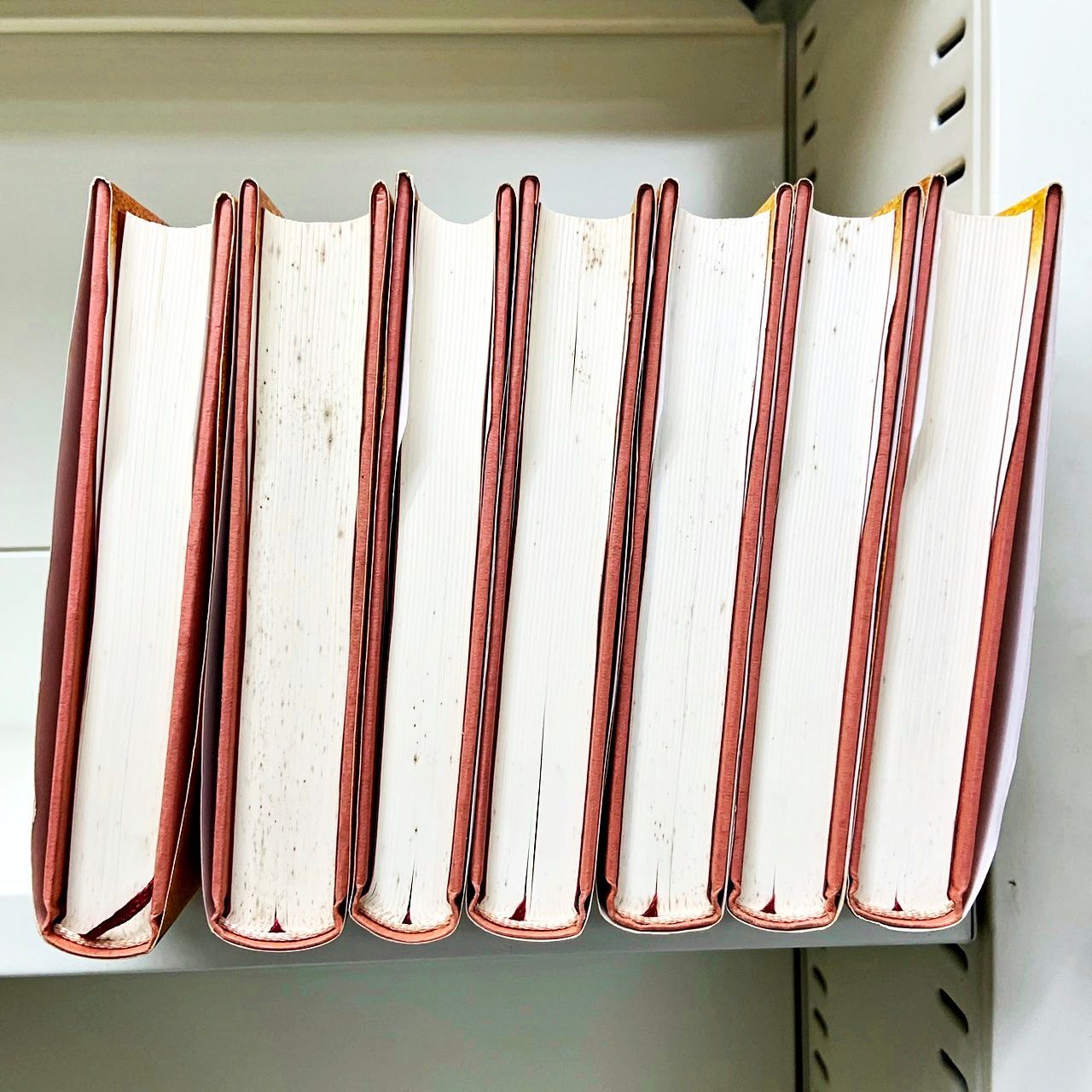 ヘルメス叢書 全7巻セット 白水社 - メルカリ