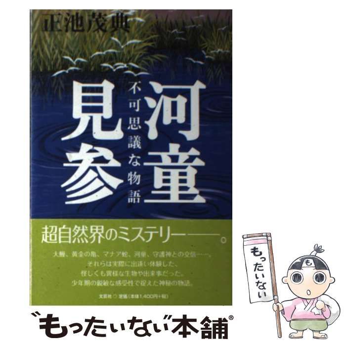 河童見参 不可思議な物語/文芸社/正池茂典