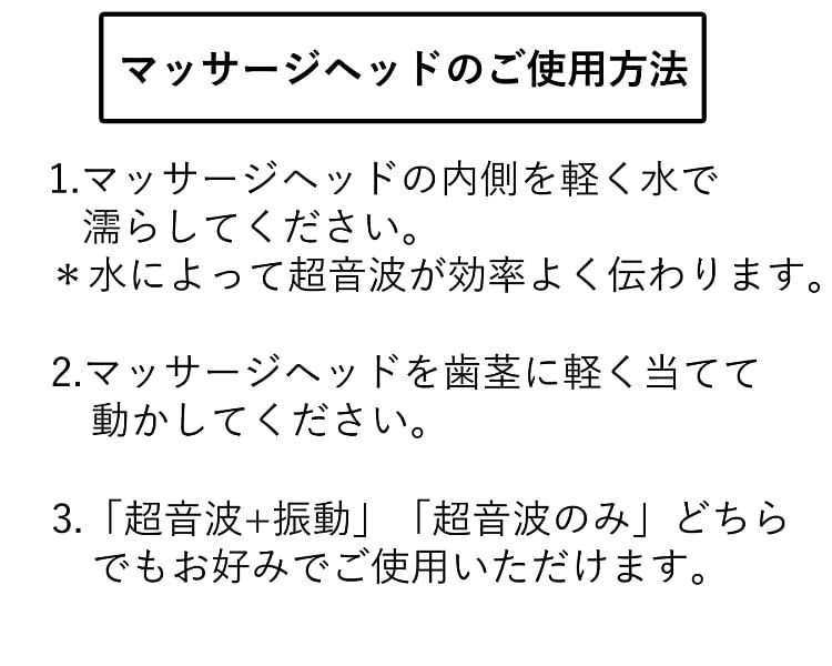 爆買い低価 1.6MHz超音波電動歯ブラシ スマイルエックスAU300D用 替え