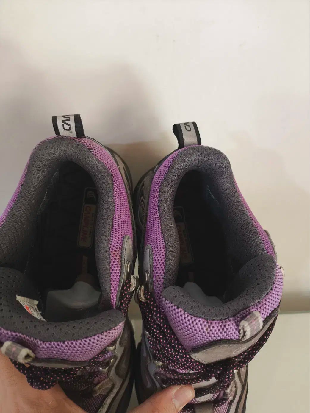 キャンプライン