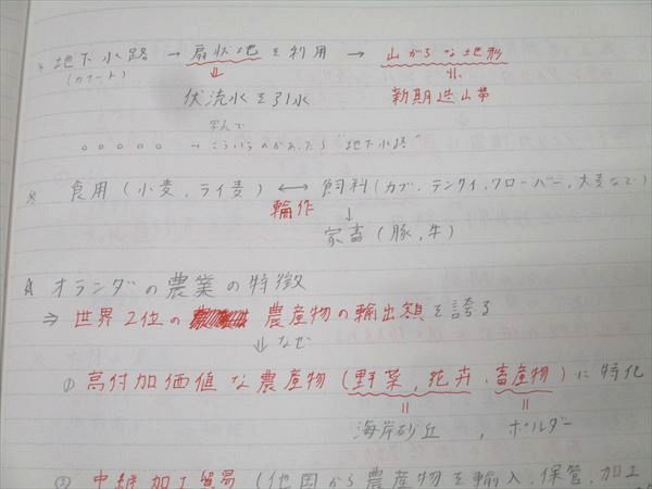 駿台 地理(系統地理・地誌) テキスト 2022 通年 宇野仙 024S0D