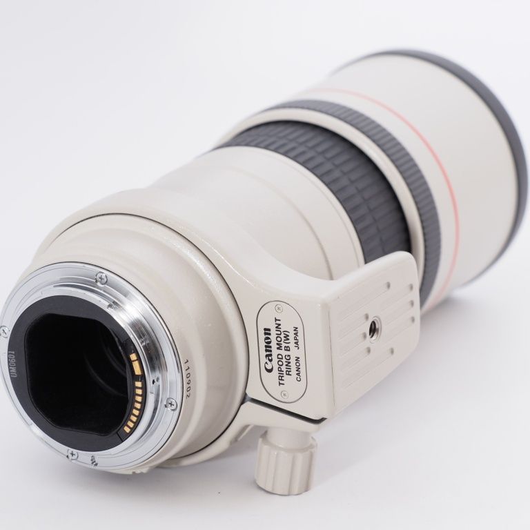 Canon キヤノン 単焦点望遠レンズ EF300mm F4L IS USM フルサイズ対応