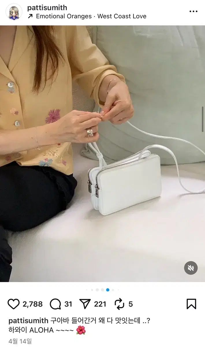 MINITMUTE ミニミュート TWIN MICRO ツインマイクロ