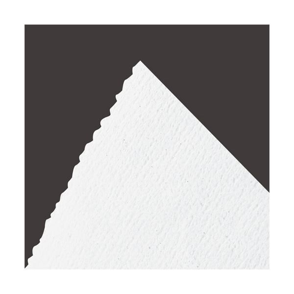 太洋紙業 水洗トイレに流せるペーパータオル ストリーム エコノミー パック