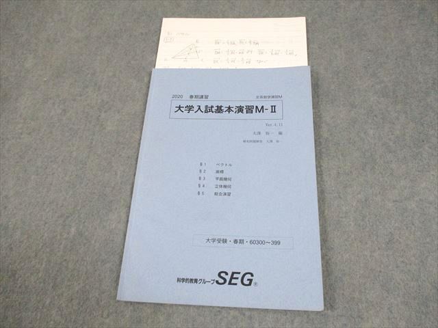SEG(科学的教育グループ) 受験数学文系Mクラス 大学入試基本演習M-II テキスト 2020 春期 大澤裕一 004s0D SEG(科学的教育グループ) 受験数学文系Mクラス 大学入試基本演習M-II