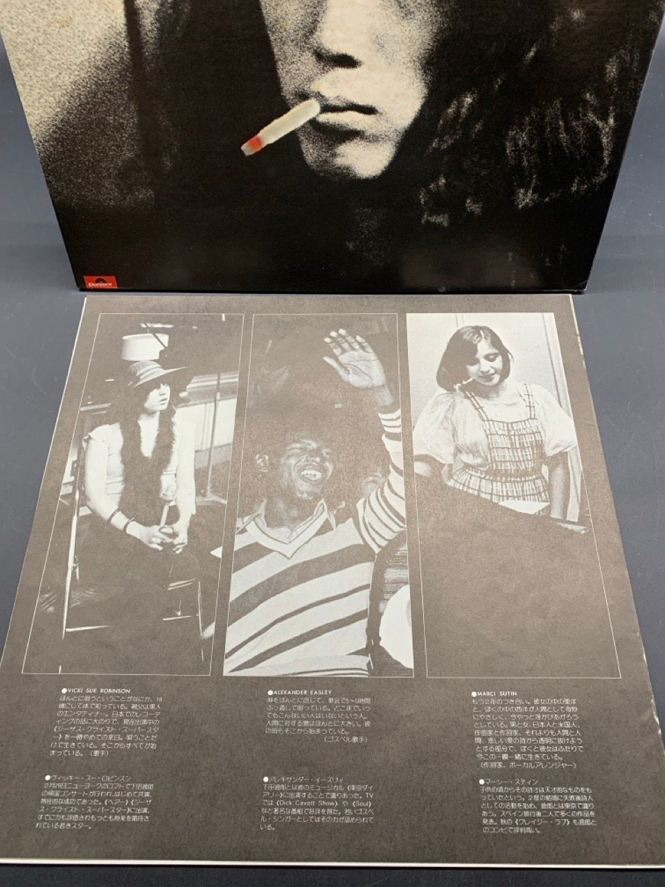 LP 下田逸郎 LOVE SONGS AND LAMENTATIONS 飛べない鳥、飛ばない鳥