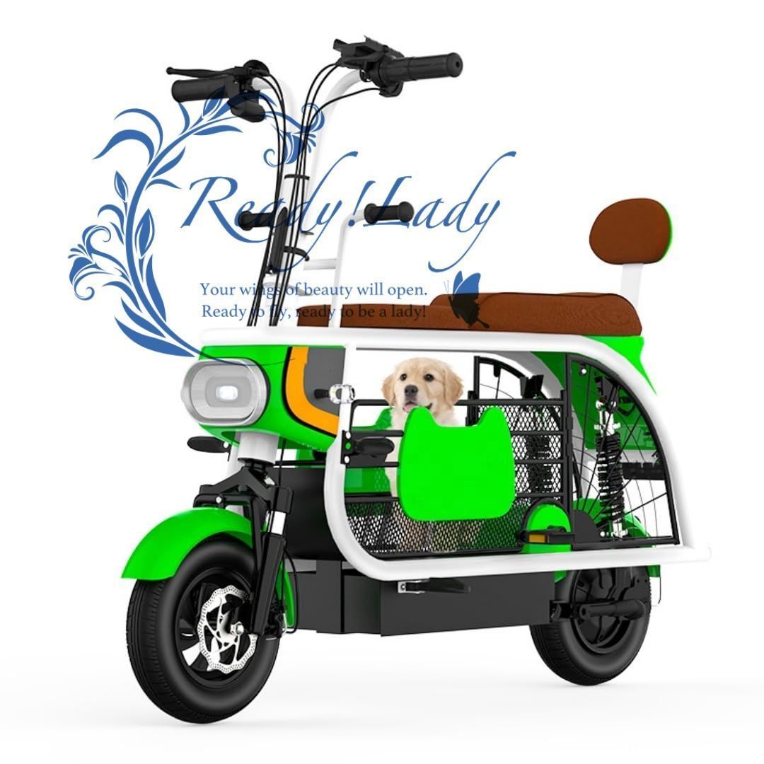 PANASONIC 「パナソニック」 JETTER 2022年頃 BE-ELHC544F 電動