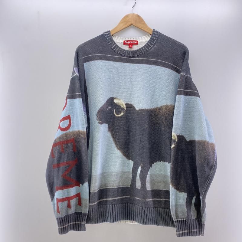 Supreme Damien Hirst Sweater シュプリーム　ダミアン Supreme/Damien Hirst Sweater | Supreme 25ss