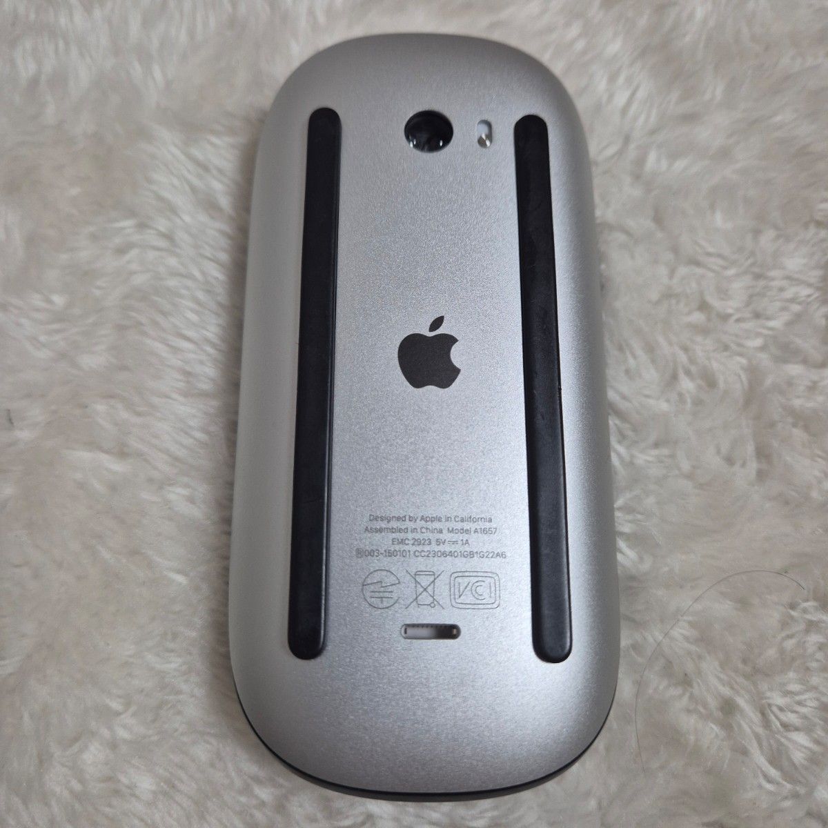 Magic Mouse