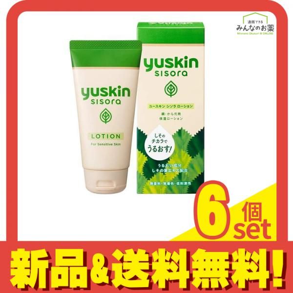 バイオリンセット Valente VN-60 1/4 訳あり特価 駒&魂柱調整済