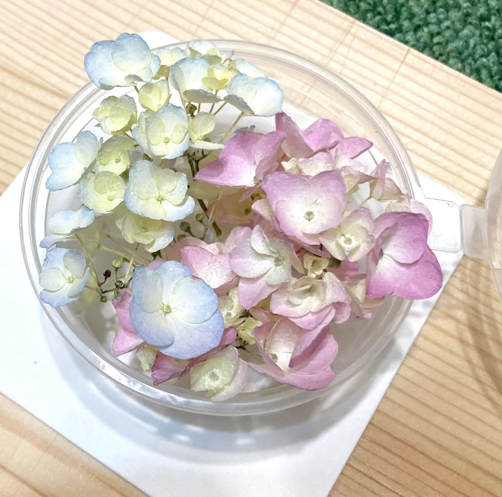 HT限定5】アジサイドライフラワー／着色なし／天然色／花材／レジン  